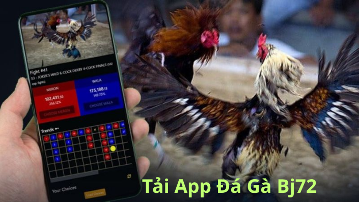 Link Tải App Đá Gà Bj72: Hướng Dẫn Chi Tiết