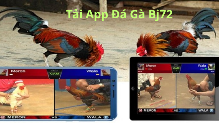 tải app đá gà thomo trực tiếp tại nhà cái bj72 