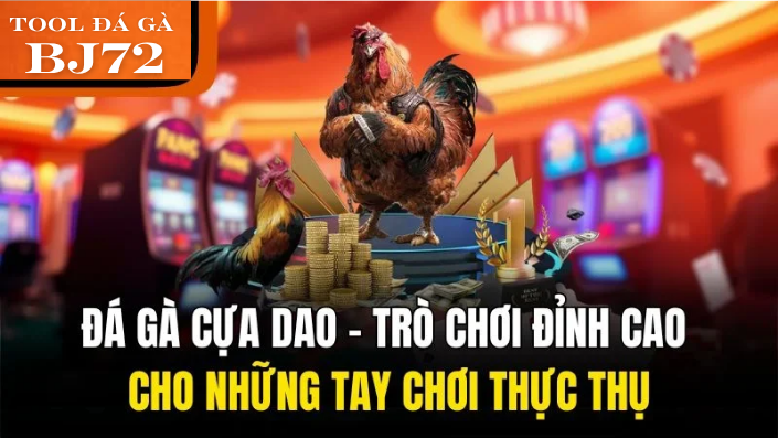Tool Báo Kết Quả Đá Gà Thomo Bj72: Hướng Dẫn Chi Tiết và Đánh Giá