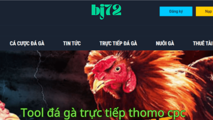 Lợi Ích Của Việc Sử Dụng Tool Đá Gà Trực Tiếp